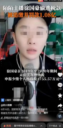 處罰之外更需法律反思 從徐國(guó)豪逃稅案看稅收監(jiān)管的漏洞
